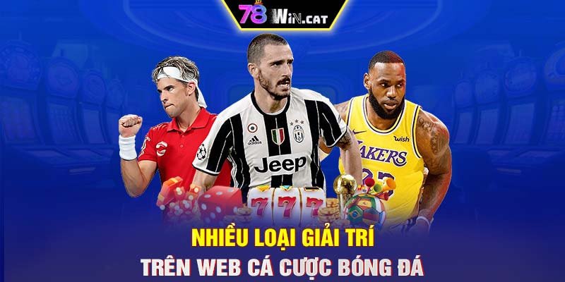 Nhiều loại giải trí trên web cá cược bóng đá